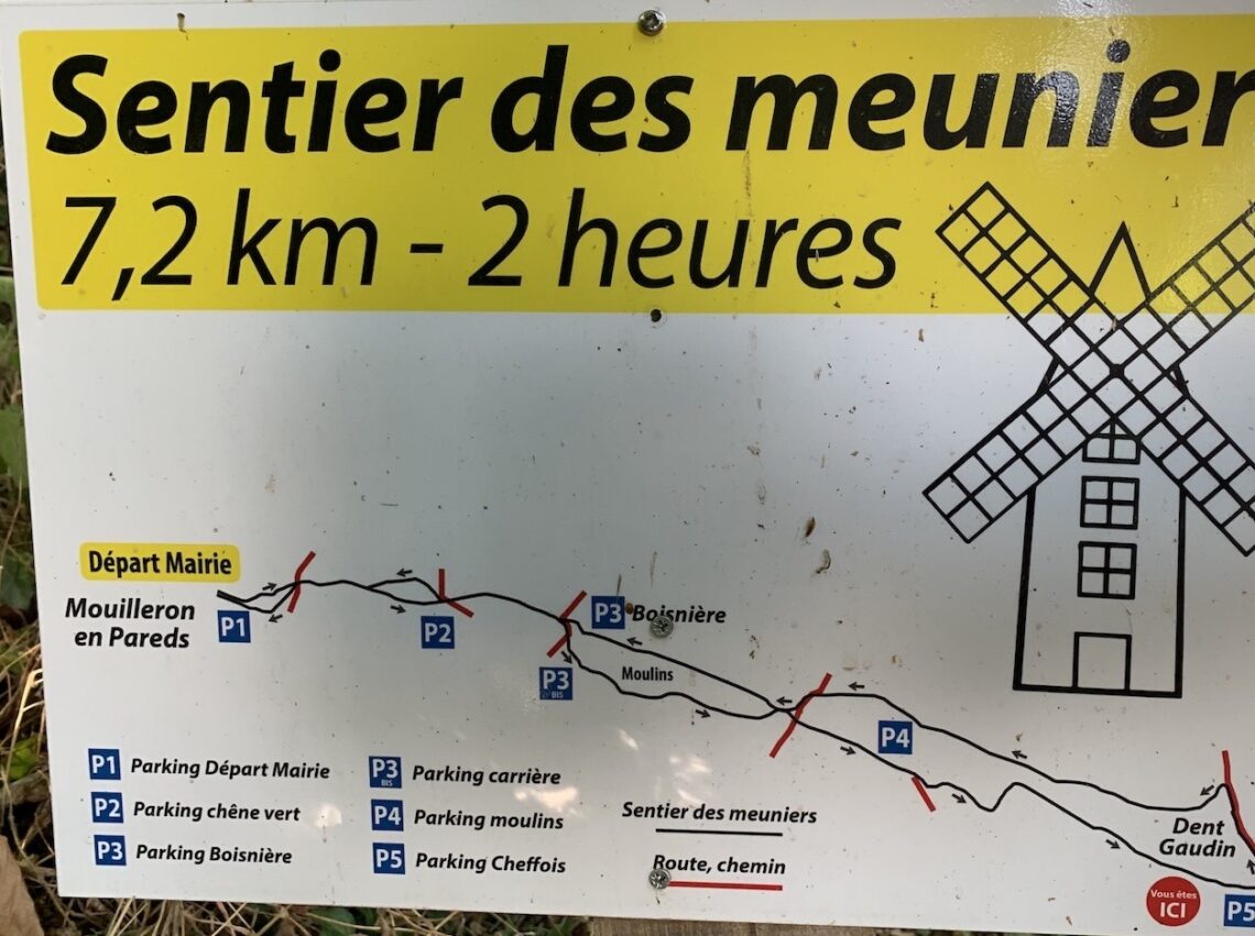 {{placeholder content='e3sgYnJpenlfZGNfaW1hZ2VfYWx0IH19' imageSrc='wp-e2cd545dd436ebc9b981d915d2a9e0c1.jpg'}}