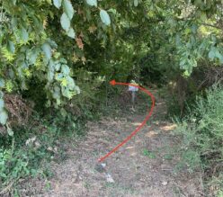 {{placeholder content='e3sgYnJpenlfZGNfaW1hZ2VfYWx0IH19' imageSrc='wp-3a5411bf9ac250bb354a907b80e98f97.jpg'}}
