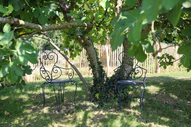 Jardin