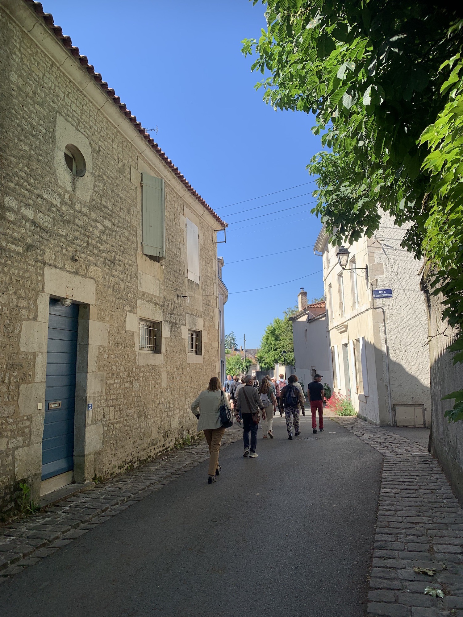 Luçon Luçon