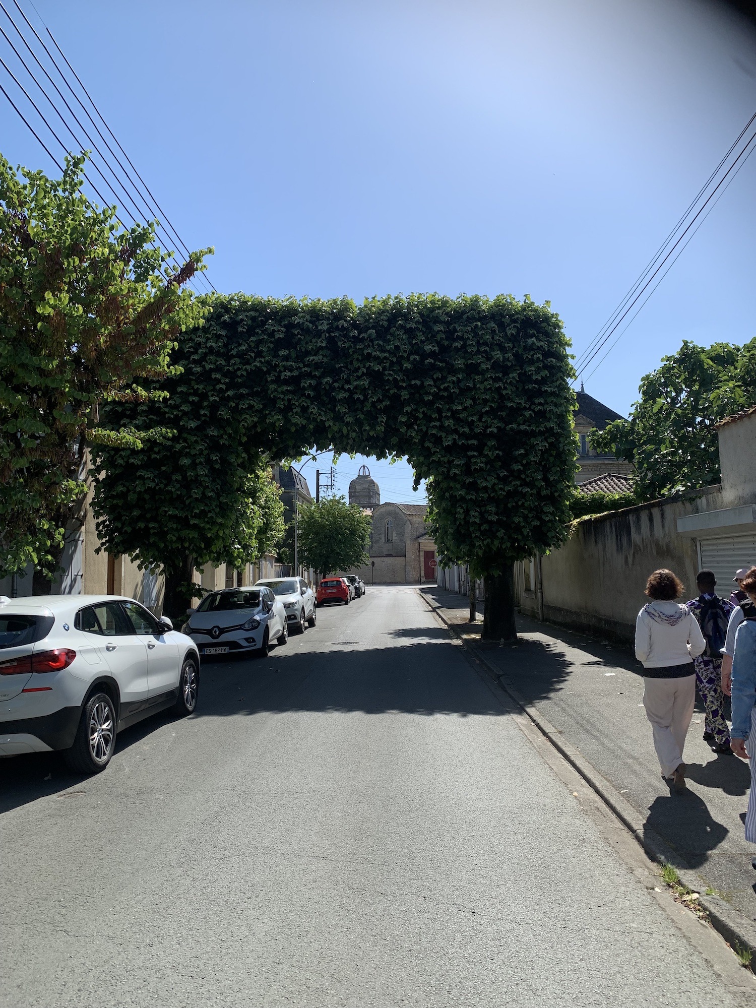 Luçon Luçon