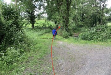 Le long du Loing