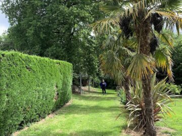 Le long du Loing
