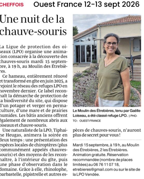 Chauve-souris