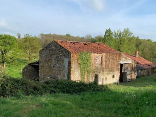 Barn