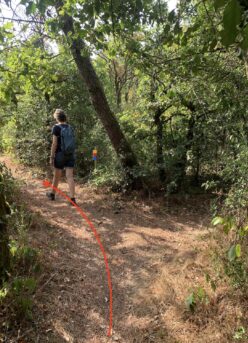 Quarry path