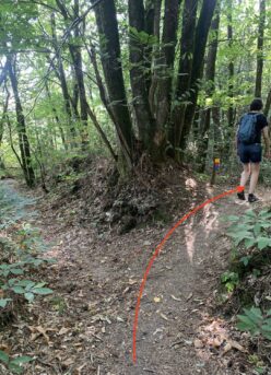 Quarry path