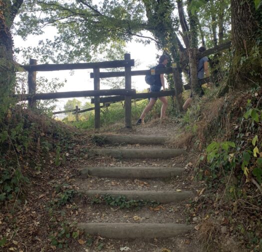 Quarry path