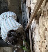 Chantier chaux-chanvre