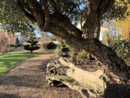 Sentier des carrières