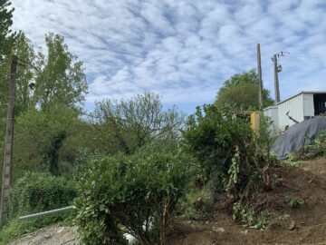 Removal of electricity poles