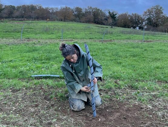Planting protection