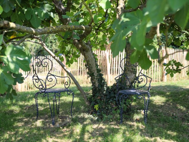 Jardin