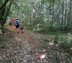 Sentier des meuniers