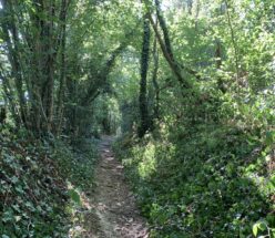 Sentier des meuniers