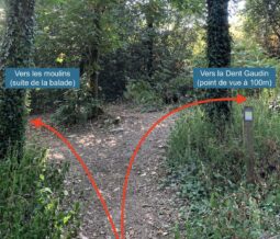 Sentier des meuniers