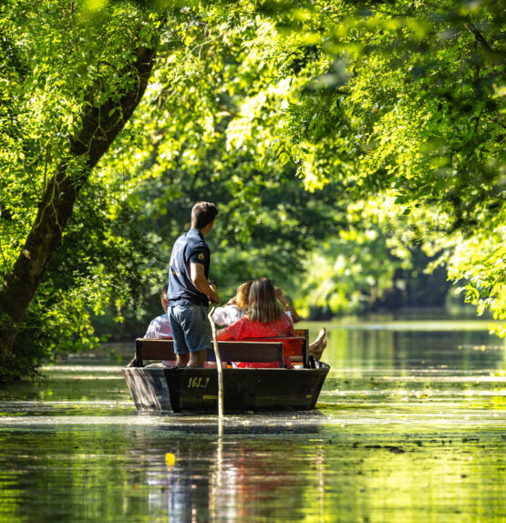 Marais Poitevin