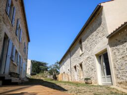 ruellea
